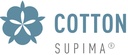 Culotte taille haute en dentelle CALIDA "Natural Comfort Lace" 22856 - Blanc 001