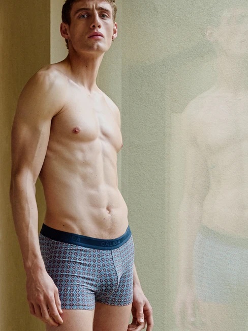 Boxer homme fantaisie coton CALIDA "Grafic Cotton" 26881 - Redwood 149