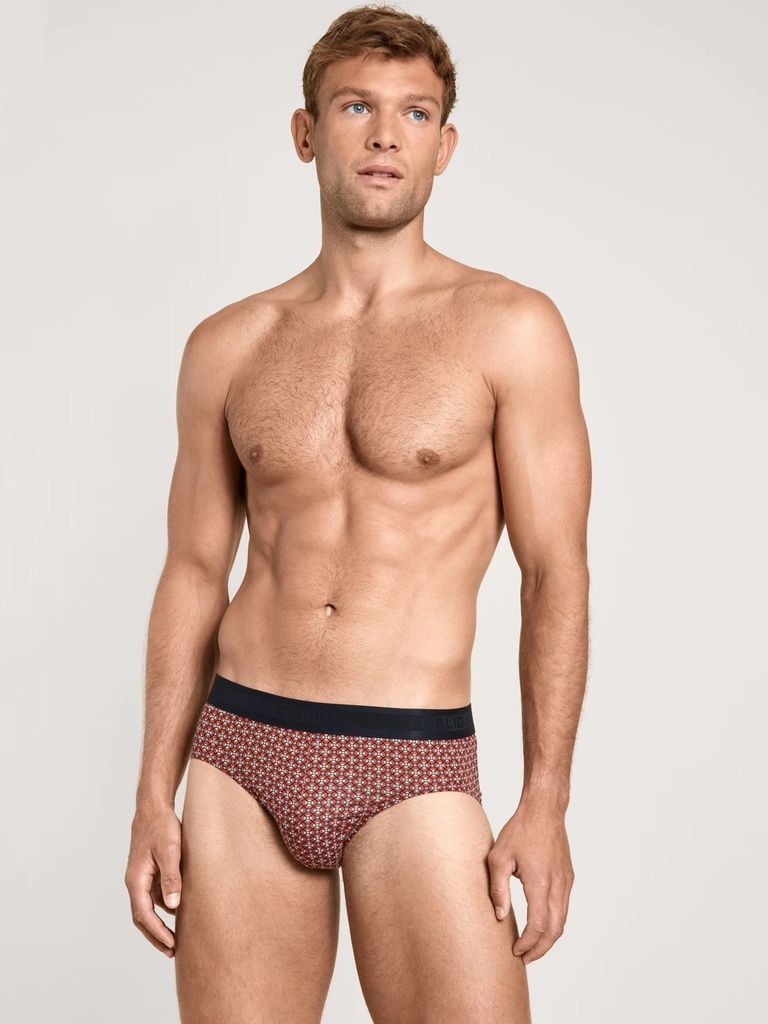 Slip homme tencel & coton CALIDA "Focus Trend 1" 22586 - Redwood 149