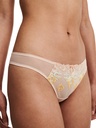 Tanga CHANTELLE "Champs Elysées" C26090 - Beige Doré Multi 0IB