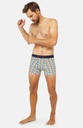 Boxer homme fantaisie 95% coton bio ARTHUR "2 Chevaux" MAC - Blanc Motif 2CV 2CVE23