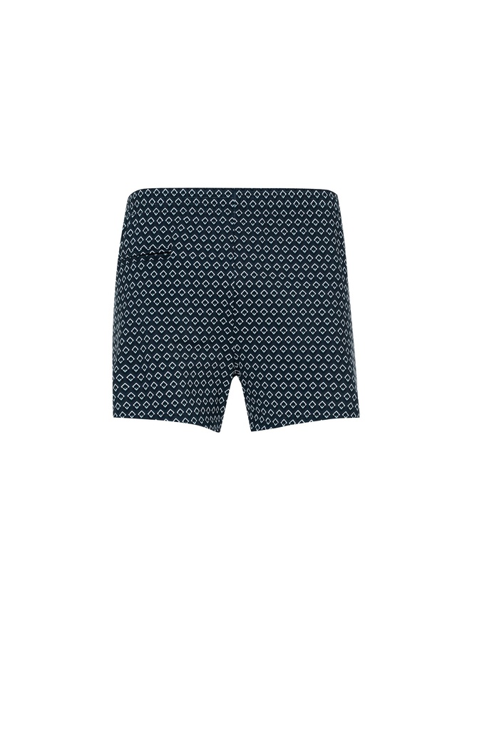 Short de bain homme WAVEBREAKER 55004 - Gris Motifs 30