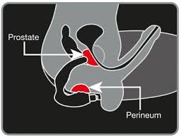 Vibromasseur anal stimulation prostatique ROCKS OFF "Bad Boy"