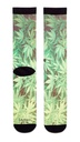 Chaussette homme fantaisie LOIC HENRY "Cannabis" KSI003X - Vert Imprimé