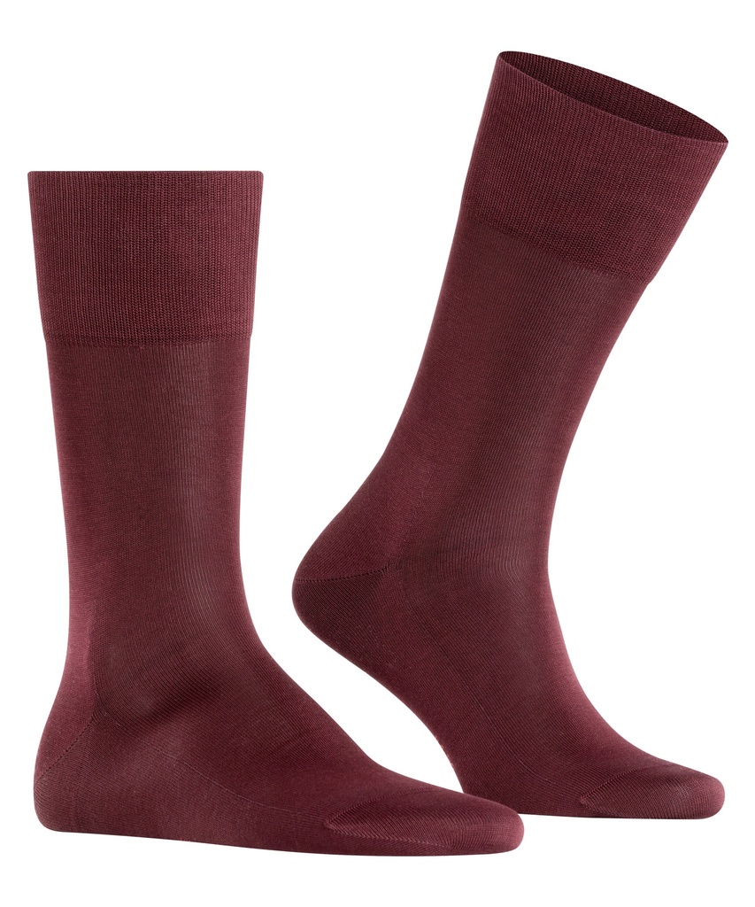 Chaussettes Hommes 100% fil d'écosse FALKE "Tiago" 14662 - Barolo 8596