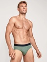 Slip homme tencel & coton CALIDA "Focus Trend 3" 22586 - Iris Green 613