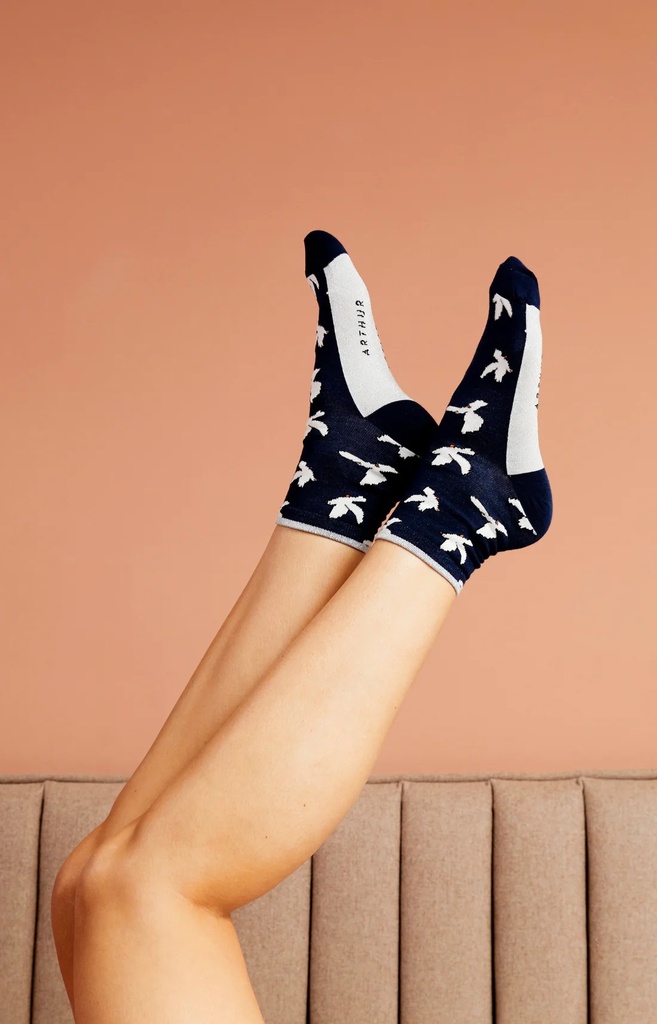 Chaussette femme fantaisie ARTHUR "Colombes" 1SFDOVE - Marine H23