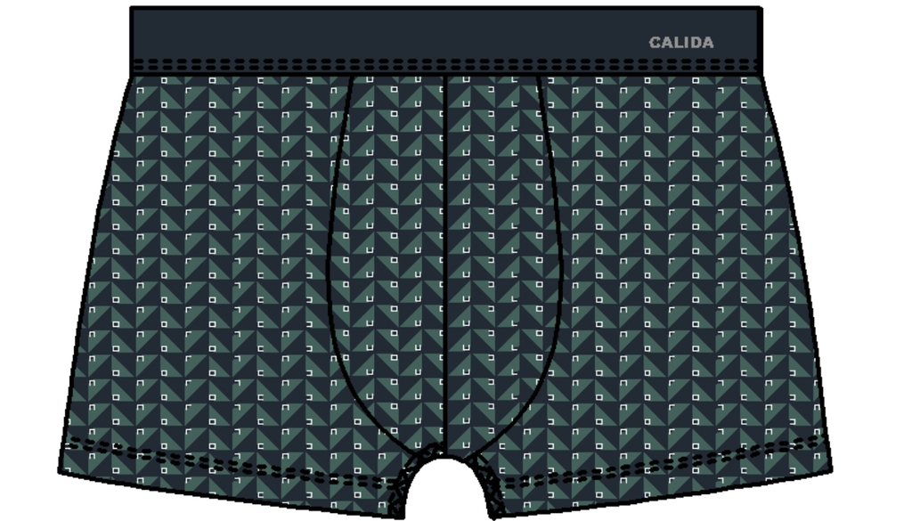 Boxer homme fantaisie coton CALIDA "Cotton Code Design" 26189 - Dark Glen 549