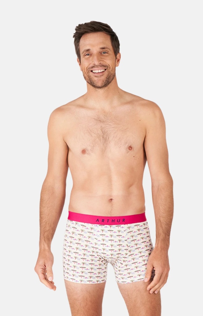 Boxer homme coton bio ARTHUR "Comment Savane" MAC - Multi SAVAE24