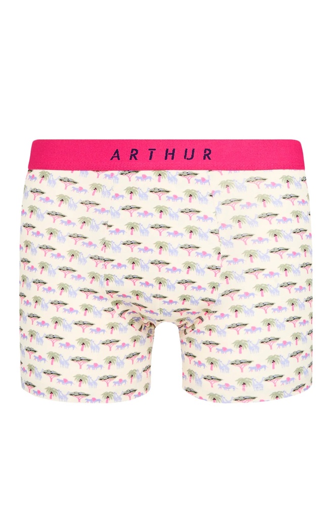 Boxer homme coton bio ARTHUR "Comment Savane" MAC - Multi SAVAE24