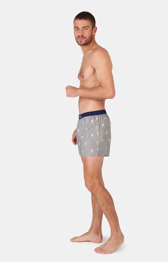 Caleçon américain homme avec maintien intérieur 100% coton bio ARTHUR "Le Club" CSP - Gris Teddy 1102E24
