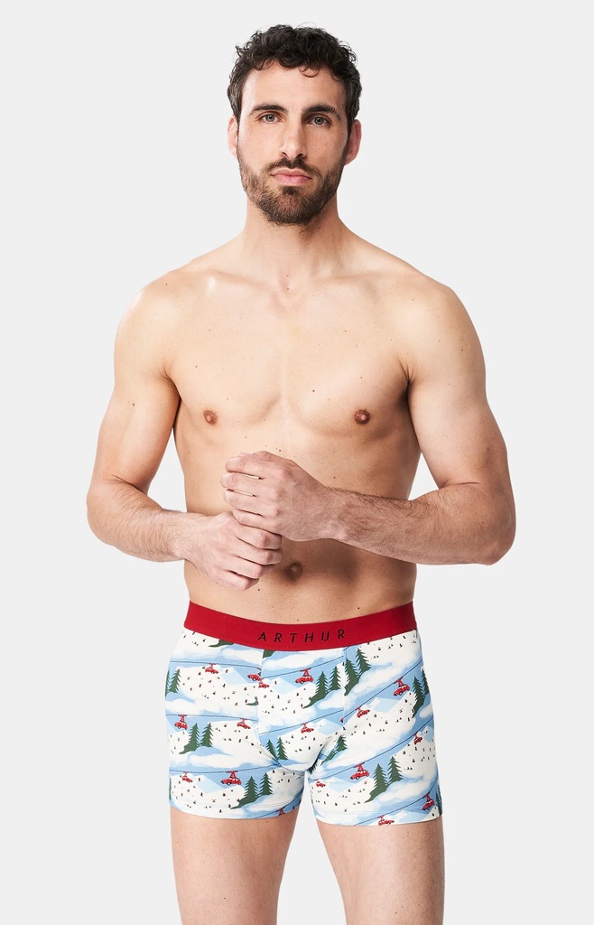 Boxer homme fantaisie 95% coton bio ARTHUR "2CV des Montagnes" MAC - Blanc 2CVCH24