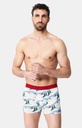Boxer homme fantaisie 95% coton bio ARTHUR "2CV des Montagnes" MAC - Blanc 2CVCH24
