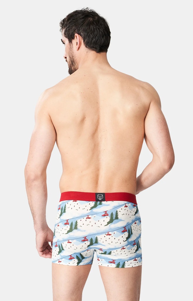 Boxer homme fantaisie 95% coton bio ARTHUR "2CV des Montagnes" MAC - Blanc 2CVCH24