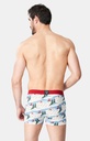 Boxer homme fantaisie 95% coton bio ARTHUR "2CV des Montagnes" MAC - Blanc 2CVCH24