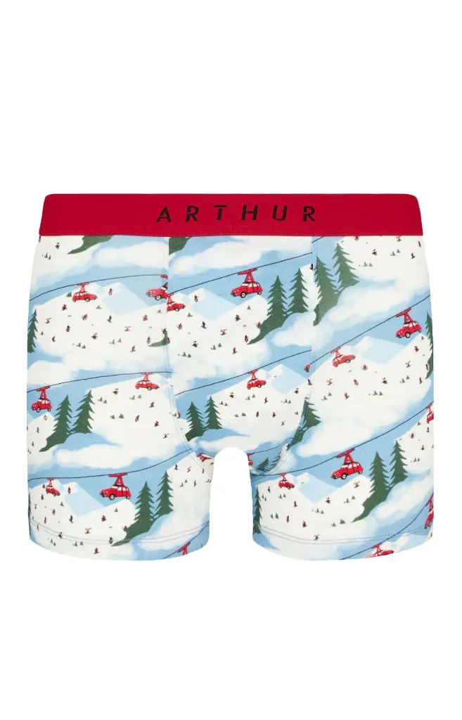 Boxer homme fantaisie 95% coton bio ARTHUR "2CV des Montagnes" MAC - Blanc 2CVCH24