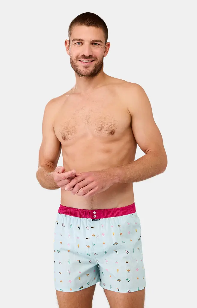Caleçon américain homme avec maintien 100% coton bio ARTHUR "Le Club" CSP - Multicolore 1163E25 