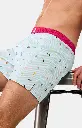 Caleçon américain homme avec maintien 100% coton bio ARTHUR "Le Club" CSP - Multicolore 1163E25 