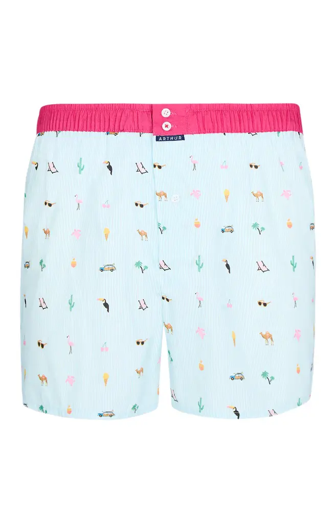 Caleçon américain homme avec maintien 100% coton bio ARTHUR "Le Club" CSP - Multicolore 1163E25 