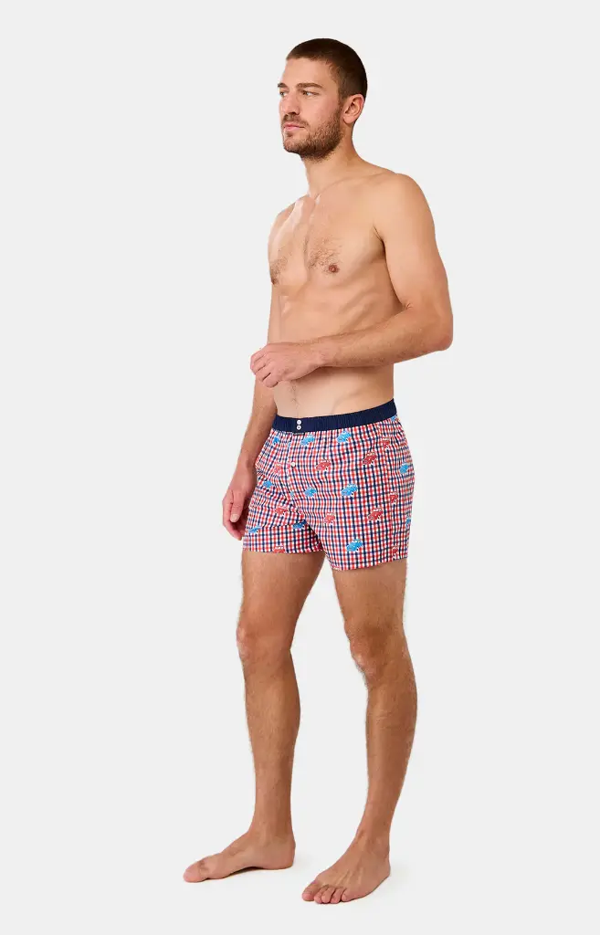 Caleçon américain homme avec maintien 100% coton bio ARTHUR "Le Club" CSP - Multicolore 1146E25