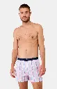 Caleçon américain homme avec maintien 100% coton bio ARTHUR "Le Club" CSP - Multicolore 1159E25