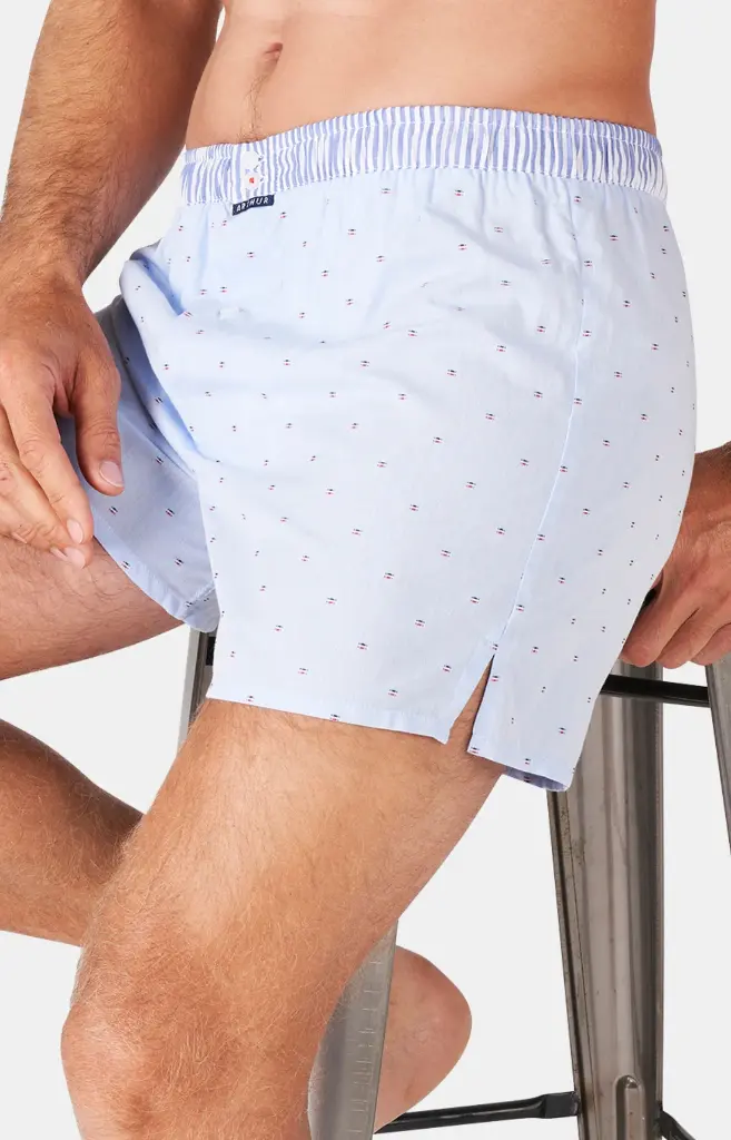 Caleçon américain homme avec maintien 100% coton bio ARTHUR "Le Club" CSP - Bleu Ciel PM006