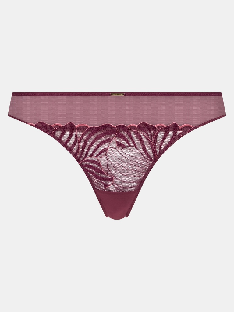 Tanga CHANTELLE "Legend" C15YG0 - Sienne/Goyave B02