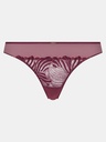 Tanga CHANTELLE "Legend" C15YG0 - Sienne/Goyave B02