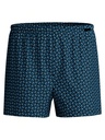 Boxer short homme fantaisie 100% coton CALIDA "Prints" 24389 - Nordic 413