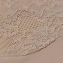 Slip taille haute ANITA "Essential Lace" 1304 - Desert 753
