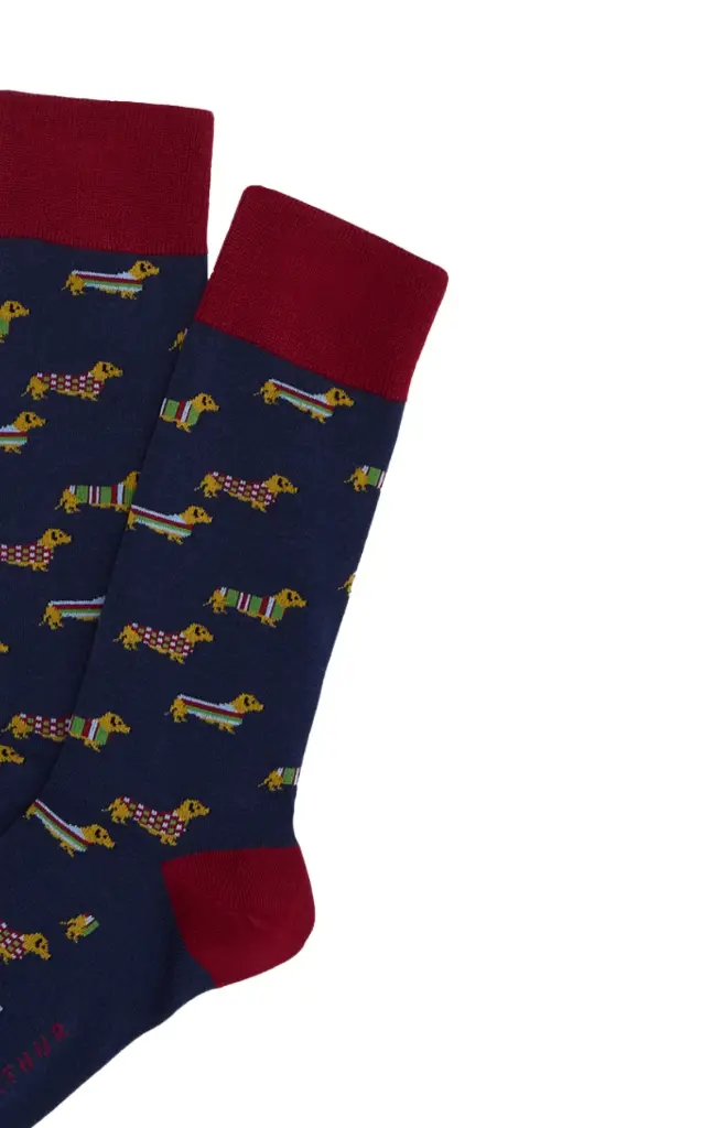 Chaussettes fantaisies homme TU ARTHUR "Teckel" 1SO - Marine POLAH25