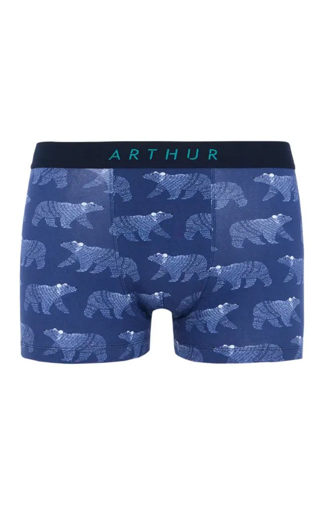 Boxer homme coton bio ARTHUR "Nuit Polaire" MAC - Marine POLAH25