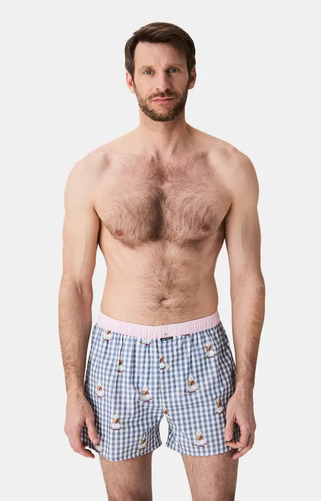 Caleçon américain homme avec maintien 100% coton bio ARTHUR "Le Club" CSP - Gris 1199H25