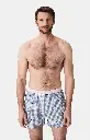 Caleçon américain homme avec maintien 100% coton bio ARTHUR "Le Club" CSP - Gris 1199H25