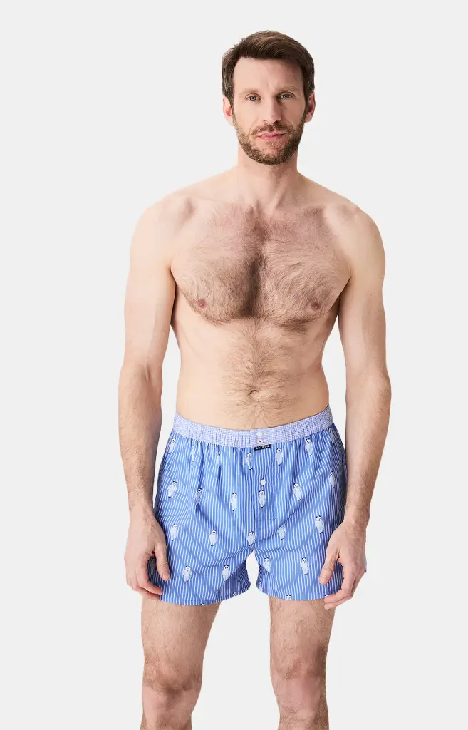 Caleçon américain homme avec maintien 100% coton bio ARTHUR "Le Club" CSP - Bleu Roi Pandastique 1189H25