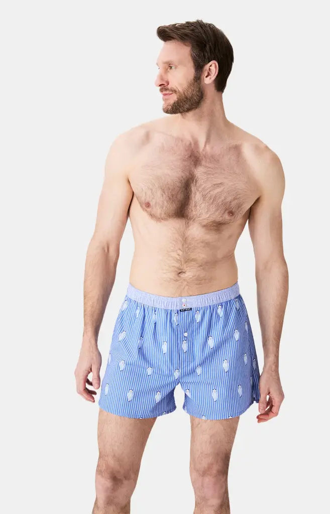 Caleçon américain homme avec maintien 100% coton bio ARTHUR "Le Club" CSP - Bleu Roi Pandastique 1189H25