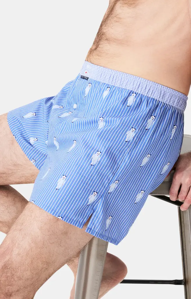 Caleçon américain homme avec maintien 100% coton bio ARTHUR "Le Club" CSP - Bleu Roi Pandastique 1189H25