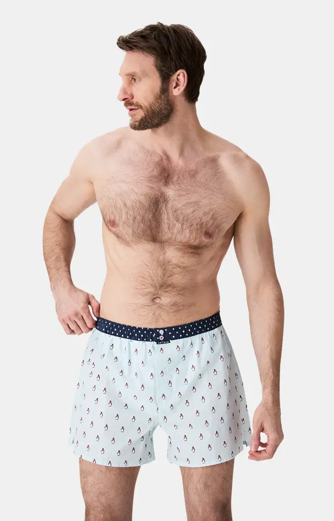 Caleçon américain homme avec maintien 100% coton bio ARTHUR "Le Club" CSP - Bleu Lagon 1174H25