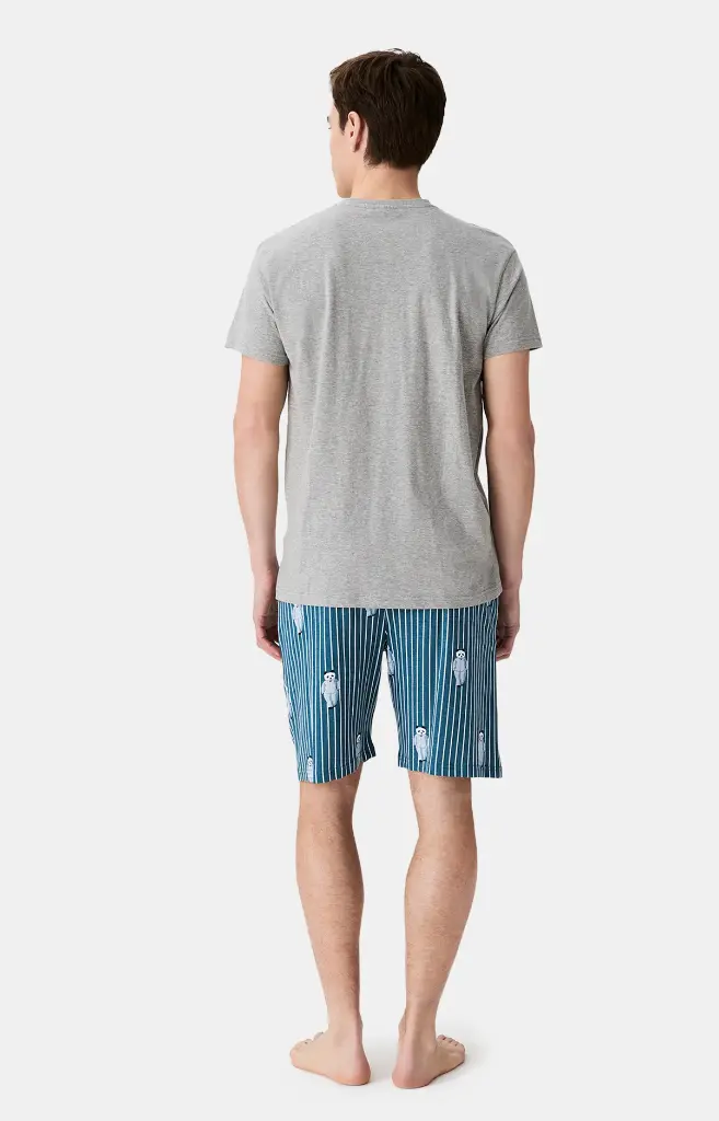 Pyjama short homme 100% coton bio ARTHUR "Pandastique" PAU - Canard PANDH25