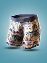 Boxer homme fantaisie microfibre avec maintien intérieur LOIC HENRY "Identity" KBI117X - Animals