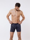 Boxer homme tencel avec maintien intérieur LOIC HENRY "Graphic" KBB300D - Space
