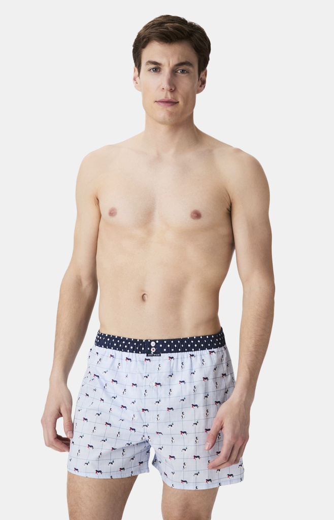 Caleçon américain homme avec maintien 100% coton bio ARTHUR "Le Club" CSP - Ciel 1176H25