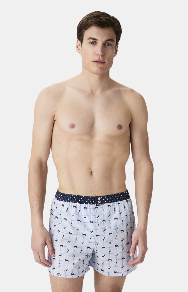 Caleçon américain homme avec maintien 100% coton bio ARTHUR "Le Club" CSP - Ciel 1176H25