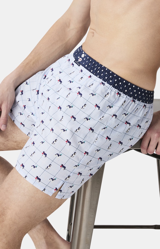 Caleçon américain homme avec maintien 100% coton bio ARTHUR "Le Club" CSP - Ciel 1176H25