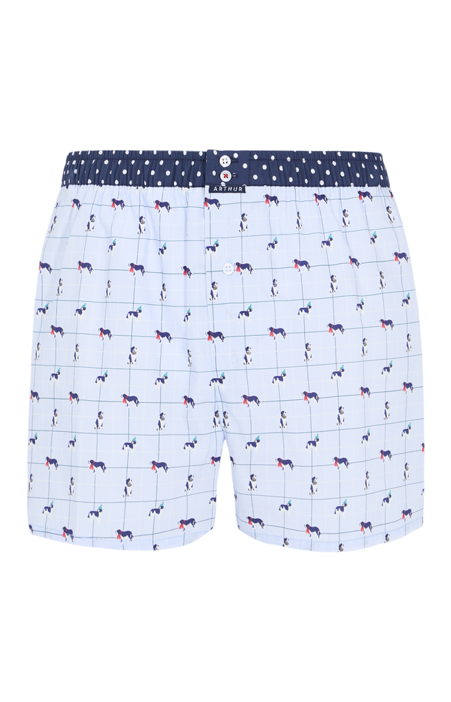 Caleçon américain homme avec maintien 100% coton bio ARTHUR "Le Club" CSP - Ciel 1176H25