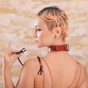 Pinces pour seins & collier SPORTSHEETS - SEX & MISCHIEF "Saffron Collar with Nipple Clamps" 106296