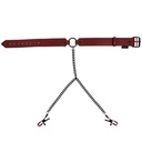 Pinces pour seins & collier SPORTSHEETS - SEX & MISCHIEF "Saffron Collar with Nipple Clamps" 106296