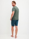 Pyjama short homme 100% coton CALIDA "Relax Imprint" 47287 - Laurel Green 618