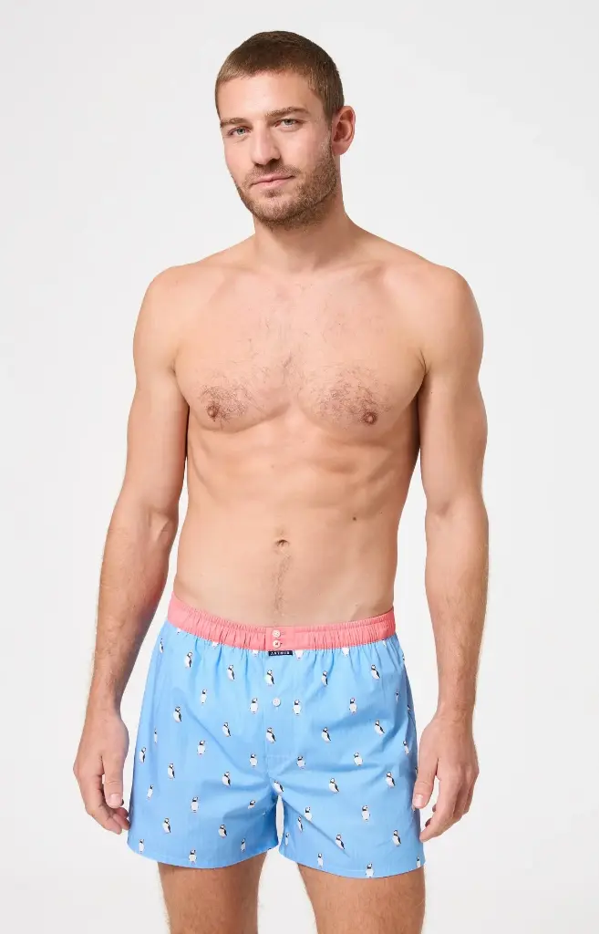 Caleçon américain homme avec maintien 100% coton bio ARTHUR "Le Club" CSP - Ciel 1205E26