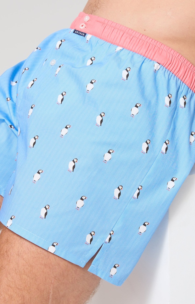 Caleçon américain homme avec maintien 100% coton bio ARTHUR "Le Club" CSP - Ciel 1205E26